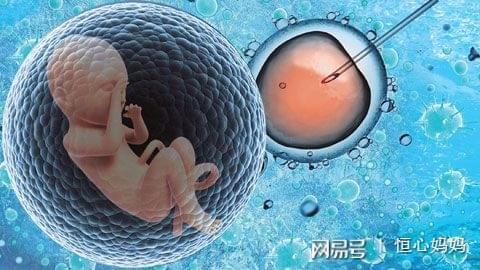 靠谱借卵代怀多少费用
